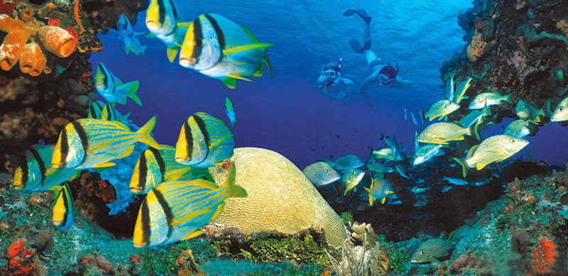 Viaje a Cancún: Vuelo + Hotel Todo Incluido-9