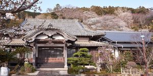 Temple Stay Tsushima Seizanji