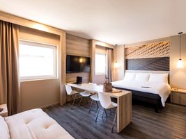 Ibis Torreon