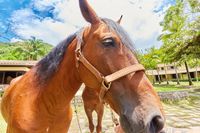 Pousada Villa da Glória