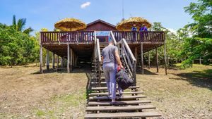 Amazon Boto Lodge