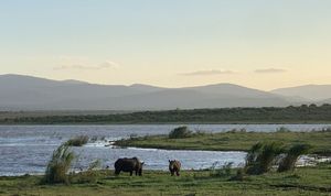 Shayamoya Tiger Fishing and Game Lodge