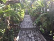 Scuba Tribe Bali dive-resort