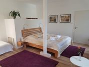 RheinRiver Guesthouse - Direkt am Rhein