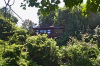 Mtunzini Forest Lodge Self Catering