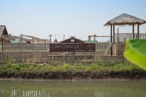 Rai Ruen Rom Organic Farm