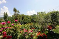 Agriturismo Casa Brunori