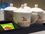 GreenTree Eastern Chongqing Jiefangbei Children's 