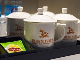 GreenTree Eastern Chongqing Jiefangbei Children's 