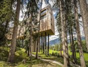 My Arbor - Adults Only