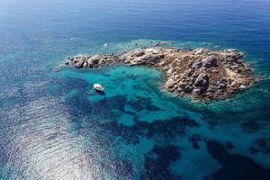 Marine Dream