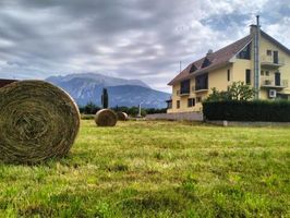 Hostal Turbon