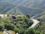 HI Foz Coa - Pousada de Juventude+Visita Guiada Museu do Côa