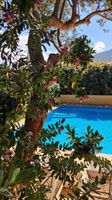 Hotel La Playa