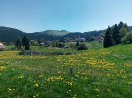 Hotel Belvedere