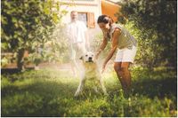 Agriturismo Costa Etrusca