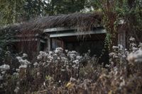 La Grenouillère+Billet Nausicaa - 1 jour