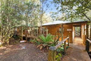 Cradle forest inn