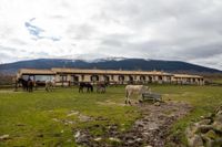 Casitas Granja El Enebral